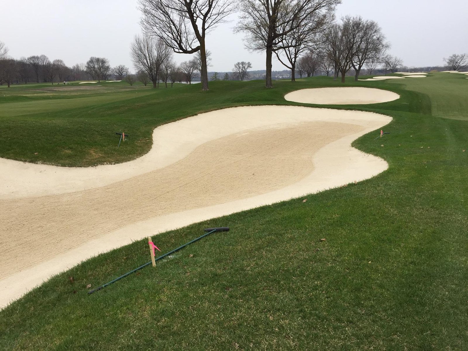 Bunker Rakes